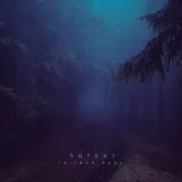 Antent — In Your Arms — обложка